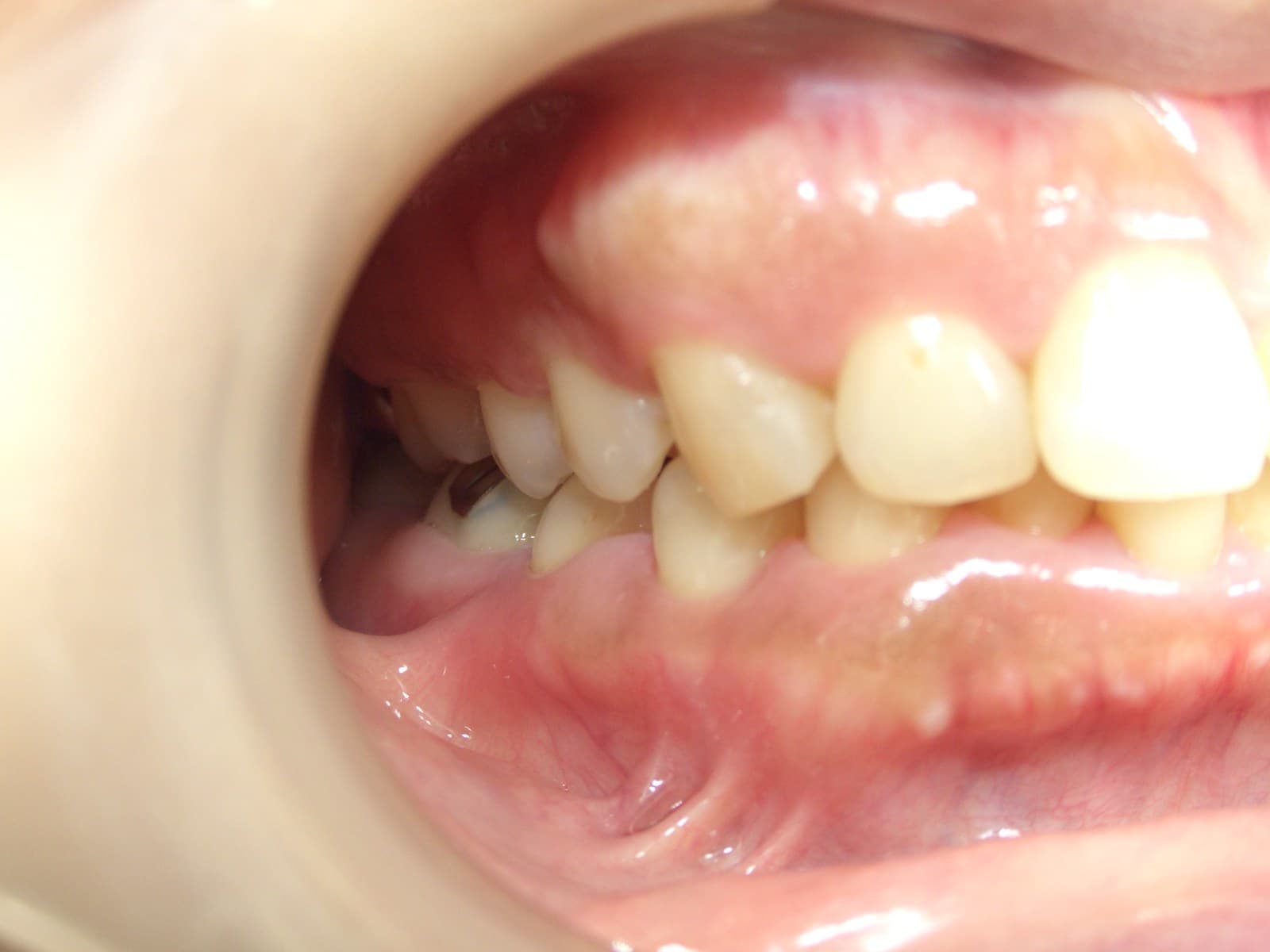 %e8%8f%85%e5%8e%9f-%e9%ba%bb%e9%87%8c%e5%ad%90_c04_20140127_123236004