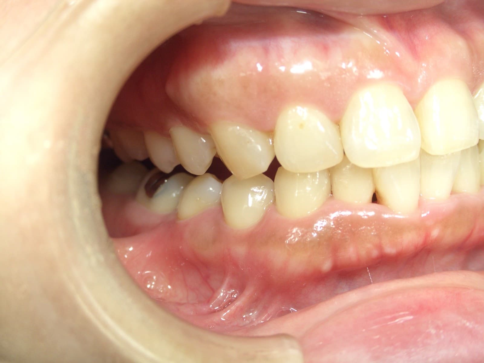 %e8%8f%85%e5%8e%9f-%e9%ba%bb%e9%87%8c%e5%ad%90_c04_20140601_204256009